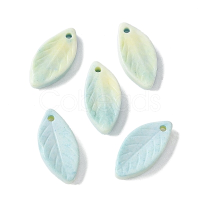 Natural Rainbow Alashan Agate Pendants G-G194-03D-1