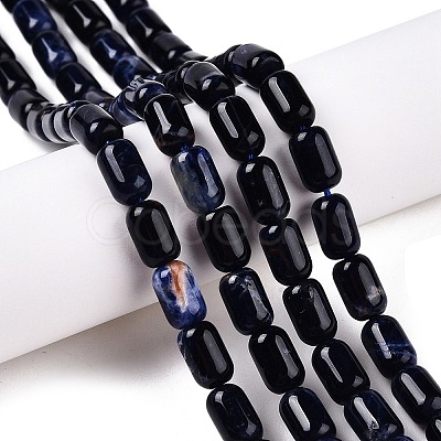 Natural Sodalite Beads Strands G-G980-37B-1