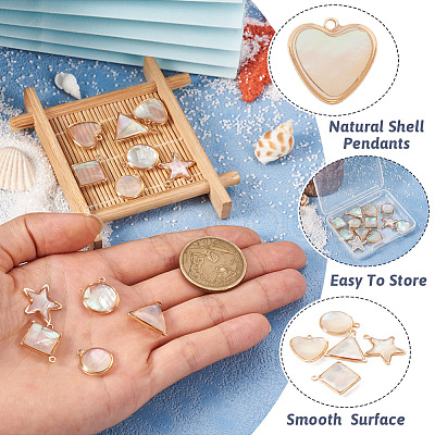 12Pcs 6 Styles Natural Shell Pendants BSHE-TA0002-06-1