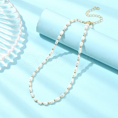 Natural Cultured Freshwater Pearl Rice Beaded Necklaces NJEW-JN06044-1