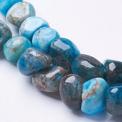 Natural Apatite Beads Strands G-F506-12-1