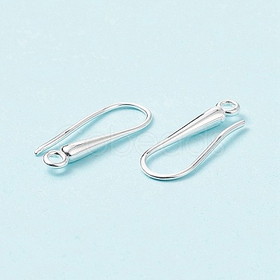 Eco-Friendly Brass Earring Hooks Findings LS-KK-M157-03S-RS-1