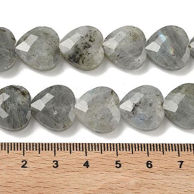 Natural Labradorite Beads Strands G-A309-A09-01-1