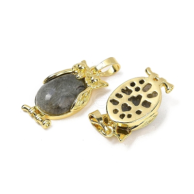 Natural Labradorite Pendant KK-F887-02G-09-1