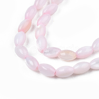 Natural Freshwater Shell Beads Strands X-SHEL-N003-25-B06-1