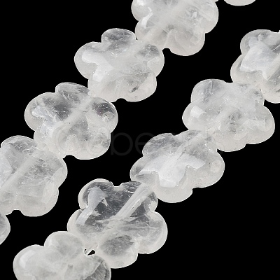 Natural Quartz Crystal Beads Strands G-F769-O01-01-1