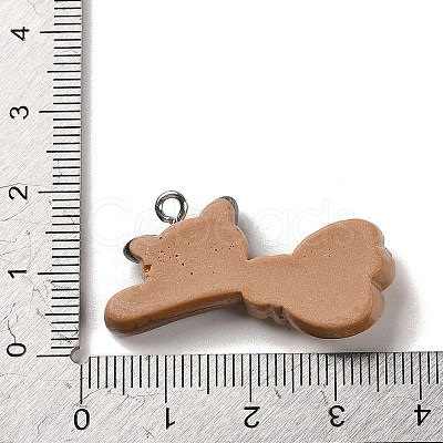 Opaque Resin Pendants RESI-K020-03A-1