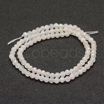 Natural Rainbow Moonstone Beads  Strands G-F460-23-1