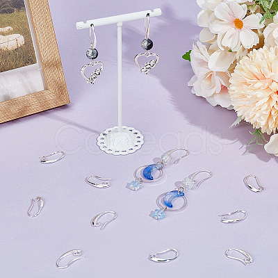 20 Pairs Brass Earring Hooks KK-BBC0016-18-1