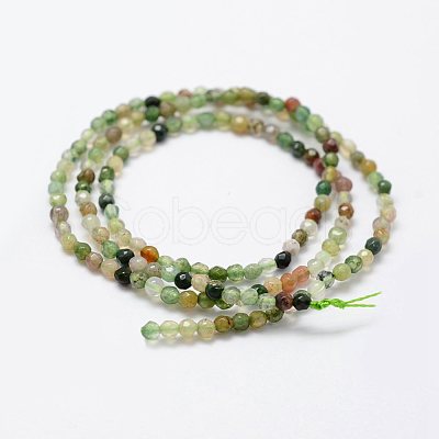Natural Indian Agate Beads Strands G-K183-03-1