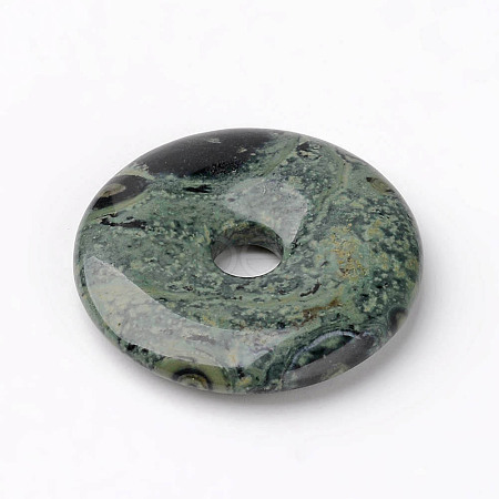 Natural Kambaba Jasper Pendants X-G-K099-30mm-1