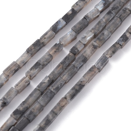 Natural Black Larvikite Bead Strands G-C301-06-1