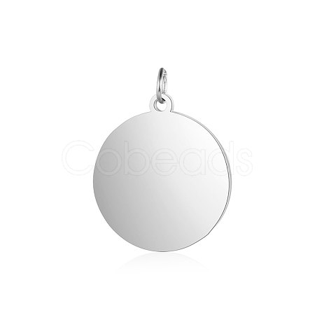 Anti-Tarnish 304 Stainless Steel Pendants STAS-I311-33F-P-1