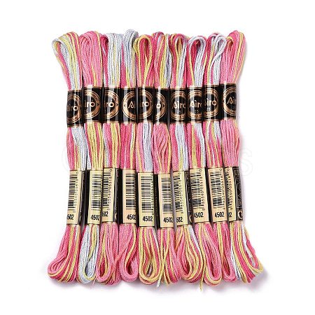 10 Skeins 6-Ply Polyester Embroidery Floss OCOR-K006-A75-1