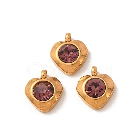 304 Stainless Steel Charms STAS-I165-05G-01-1