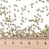 TOHO 11/0 Round Beads X-SEED-TR11-0557-4