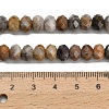 Natural Gobi Agate Beads Strands G-Z111-A55-6