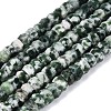 Natural Green Spot Jasper Beads Strands G-Q606-46A-07-2