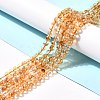 Heated Natural Citrine Bead Strands X-G-P466-01D-2