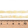 Anti-Tarnish Electroplate Glass Beads Strands GLAA-T025-27C-4