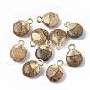 Natural Picture Jasper Pendants G-S359-021D-1