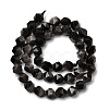 Natural Silver Obsidian Beads Strands G-Z119-A11-02-4