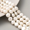 Natural Cultured Freshwater Pearl Beads Strands PEAR-A006-09I-X-1