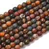 Natural Polychrome Jasper/Picasso Stone/Picasso Jasper Beads Strands G-E571-25A-2
