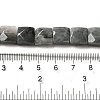 Natural Eagle Eye Stone Beads Strands G-C109-A15-02-5