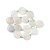 Natural Striped Agate/Banded Agate Coin Beads Strands G-NH0040-01A-4