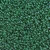 MIYUKI Round Rocailles Beads X-SEED-G007-RR0173-3