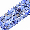 Freshwater Shell Beads Strands SHEL-S276-31B-1