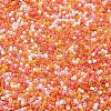 Baking Paint Glass Seed Beads X-SEED-S042-05B-45-3