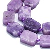 Natural Lepidolite/Purple Mica Stone Beads Strands G-K245-J05-01-3