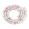 Ombre Effect Dyed Glass Beads Strands LS-GLAA-T030-07A-02-2