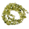 Natural Jade Chip Beads Strands X-G-B160-B02-3