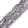 Natural Freshwater Shell Dyed Beads Strands X-SHEL-M018-13-04-1