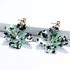 Alloy & Acrylic Dangle Stud Earrings FS-WG0D14E-05-1