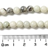 Natural Dendritic Jasper Beads Strands G-H298-A15-02-5