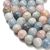 Natural Morganite Beads Strands G-H329-C10-14mm-4