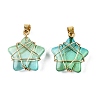 Lampwork Pendants GLAA-T023-06G-3