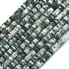 Frosted Natural Tree Agate Beads Strands G-K389-C15-01-1