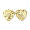 304 Stainless Steel Pendants X-STAS-L269-002G-1