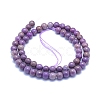 Natural Lepidolite/Purple Mica Stone Beads Strands G-L552H-09B-3