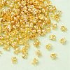 Iron Bead Tips IFIN-YW0003-10G-1