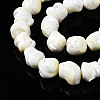 Natural Trochid Shell/Trochus Shell Beads Strands SSHEL-S266-003-3