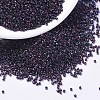 MIYUKI Delica Beads X-SEED-J020-DB1004-1
