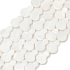 Natural Freshwater Shell Beads Strands SHEL-K010-02C-1