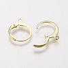 304 Stainless Steel Leverback Earring Findings X-STAS-F141-02G-2