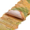 Paper Fallen Leaves Sticker Rolls DIY-C080-01G-2